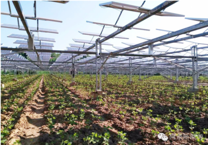 2018-3-8 永城鑫能農(nóng)光互補(bǔ)光伏發(fā)電項目---35kV小電阻接地變成套裝置發(fā)貨